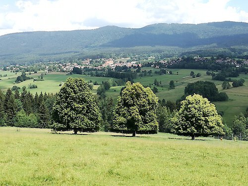 Bayerwald Feriendorf